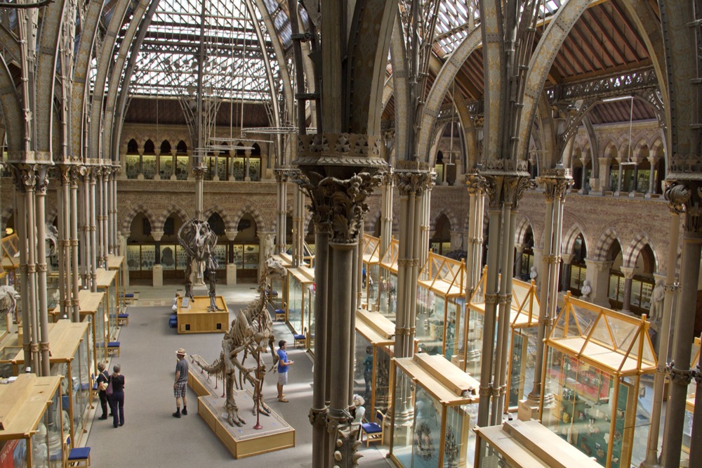 Oxford university metropolitan museum. Оксфордский музей Оксфорд. Оксфорд университет музей. Музей естественной истории в Оксфорде. Оксфордский университет внутри музей.